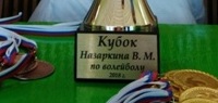 27 октябяря в спортивном зале РДК прошли соревнования по волейболу за Кубок памяти В.М.Назаркина.